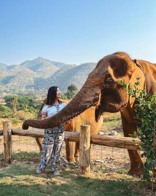 Elephantpoolvilla Maetang Chiangmai Ban Muang Kut Екстериор снимка