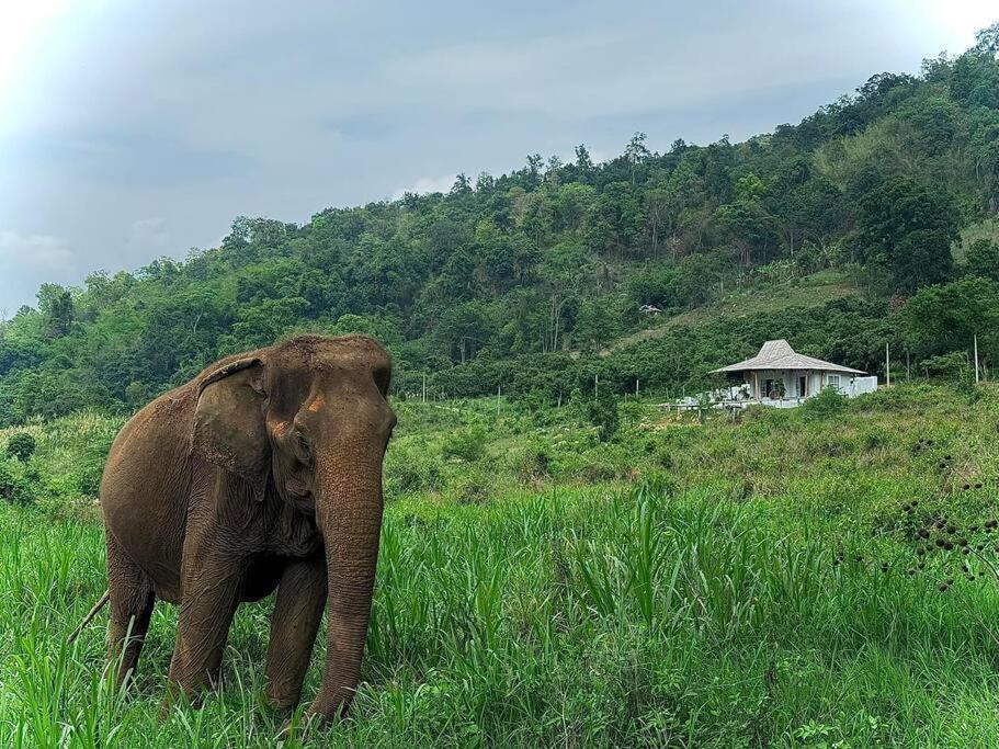 Elephantpoolvilla Maetang Chiangmai Ban Muang Kut Екстериор снимка